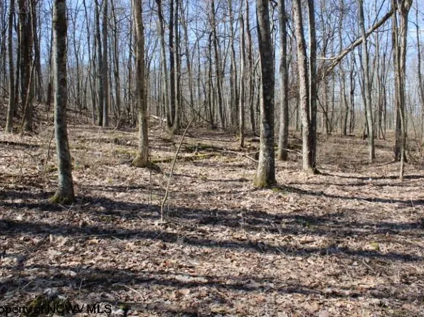 LOT 5 Sand Bank Rd, Masontown, WV 26542