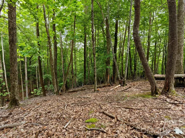 203 Sourwood Ln #186, Banner Elk, NC 28604