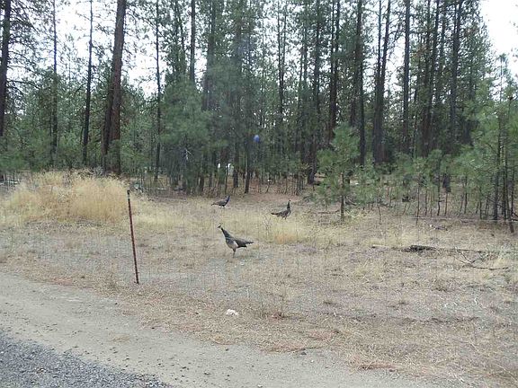 5th image of 6475A Highway 291