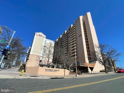 1301 N Courthouse Rd APT 1006, Arlington, VA, 22201