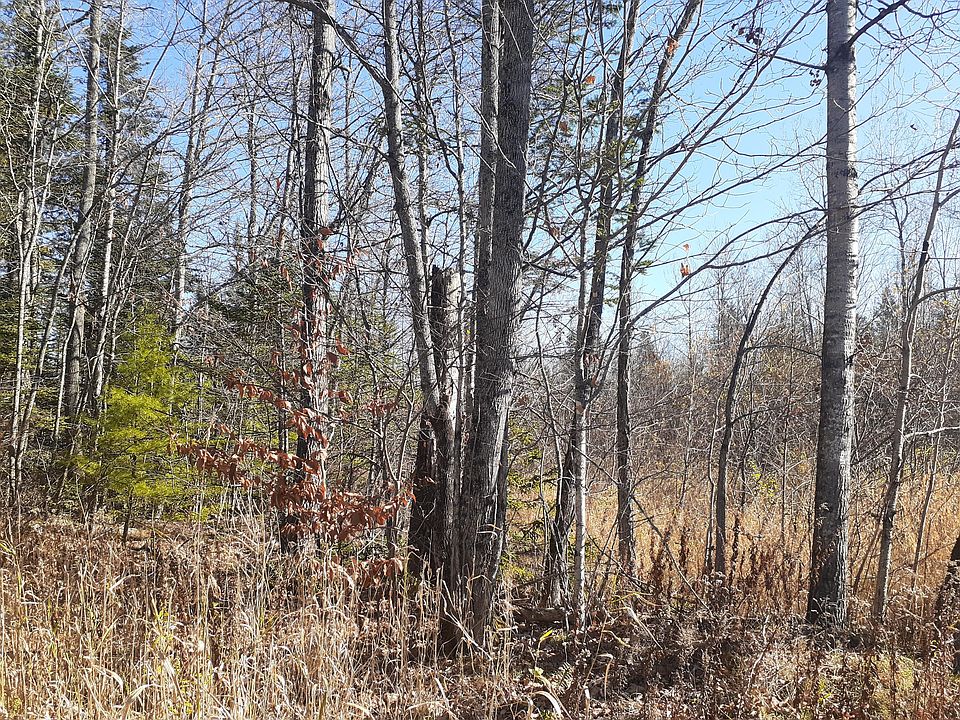 2nd image of Map 301 Lot 90 Owlsboro Road