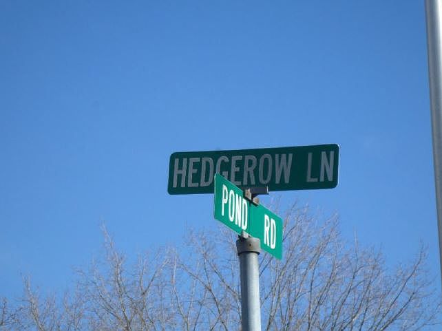 2nd image of 1134 Hedgerow Ln