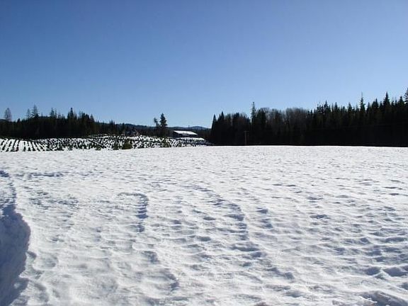 Pasture