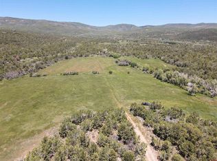 22043 Uintah Rd, Cedaredge, CO 81413