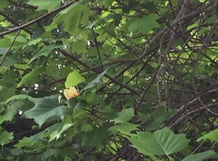 347A Jade Rd, Toney, AL 35773