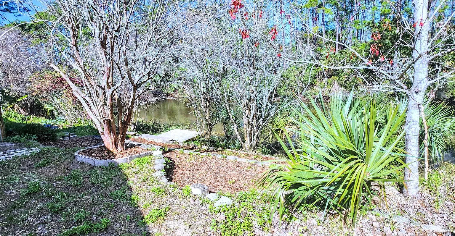 1 bed, 1.5 bath, 1471 sqft, $1,000 — Photo 4