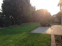 Rear Yard