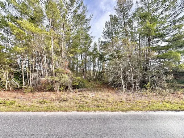 Azalea Avenue Lot #6, Paisley, FL 32767