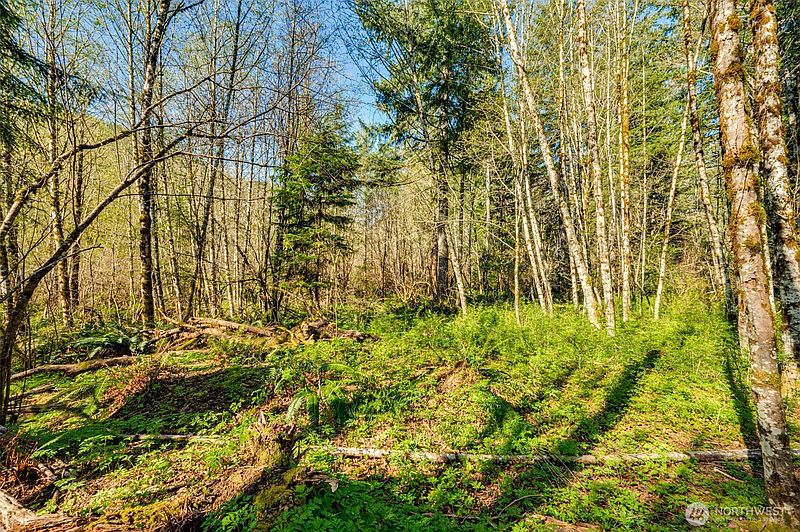 2nd image of 0 Buncombe Hollow Road NE