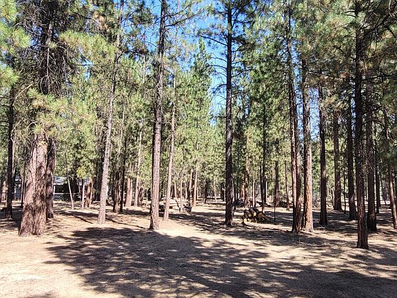 2nd image of 52117 Foxtail Rd