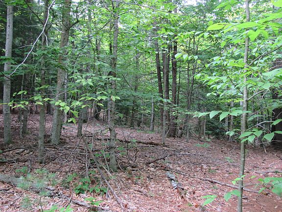 5th image of L16 Barker Road