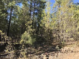 935 Miramon Dr, Lakeside, AZ 85929