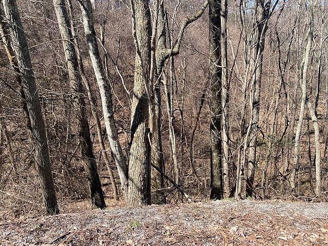 1st image of 29 Saint Moritz Ct Lot 29