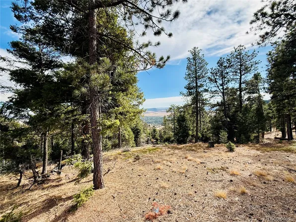 13948 Boulder Lane LOT 66, Larkspur, CO 80118