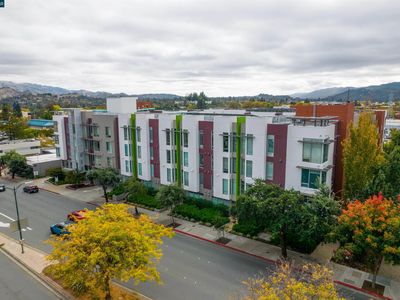 555 Ygnacio Valley Rd Unit 204, Walnut Creek, CA, 94596