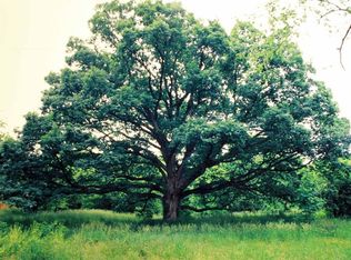 1150 Waggoner Rd, Reynoldsburg, OH 43068