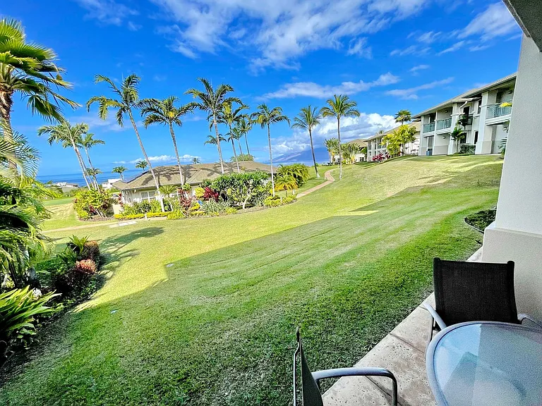 3950 Kalai Waa St #N101 — Photo 23