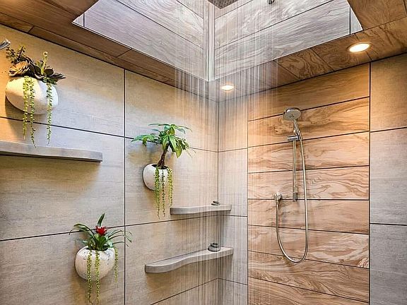 Master Bath Shower