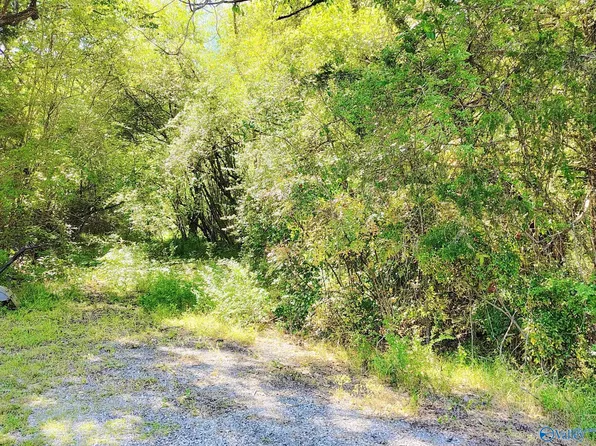 7725 Lavender Rd, Adger, AL 35006