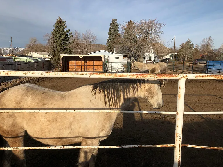 Large horse corral/paddock with loafing shed.
