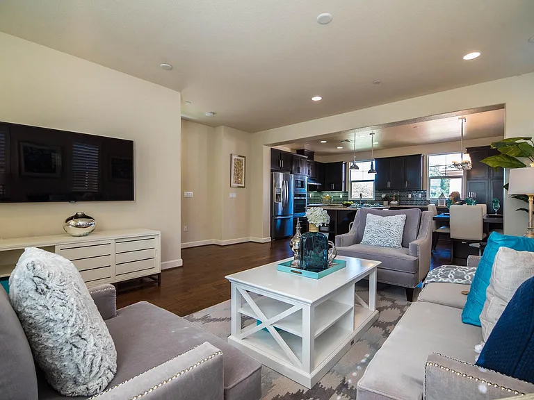 Living + Kitchen