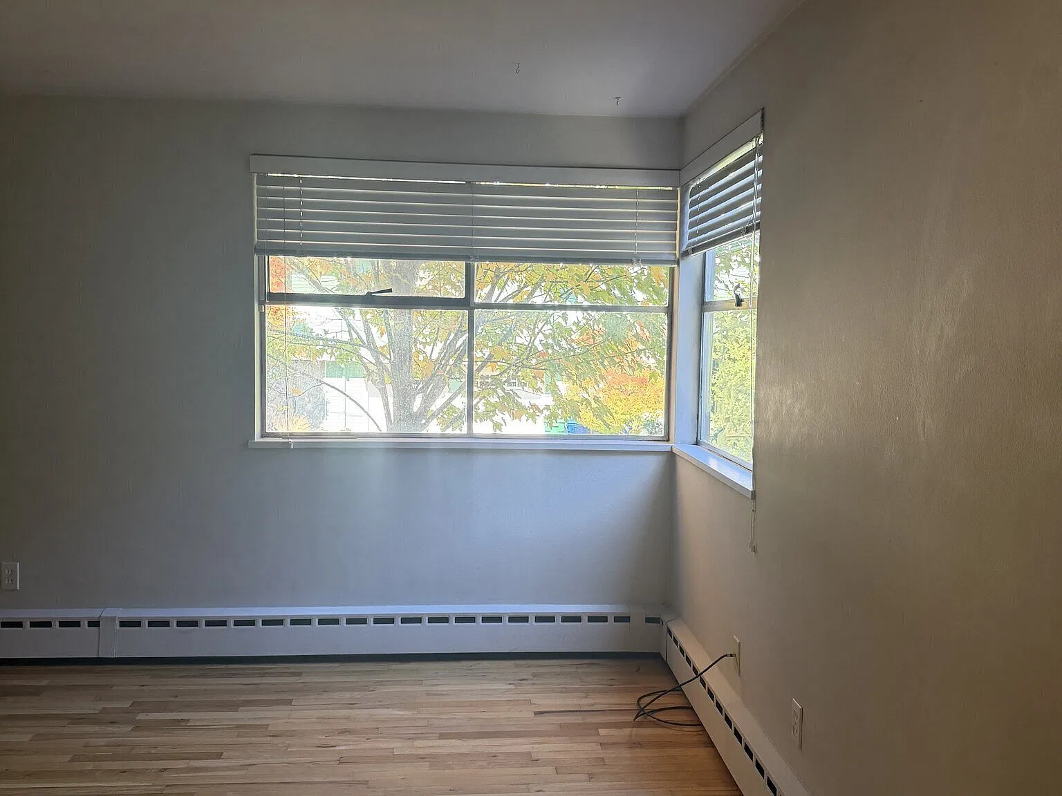 1 bed, 525 sqft, $1,640 — Photo 2
