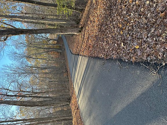 5th image of LOT 56 And Lisanby Rd Lot 57