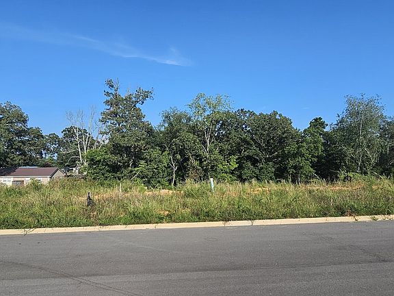 4th image of 222 English Oak Ln Lot 74