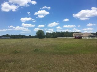 11463 Trotting Down Dr, Odessa, FL 33556