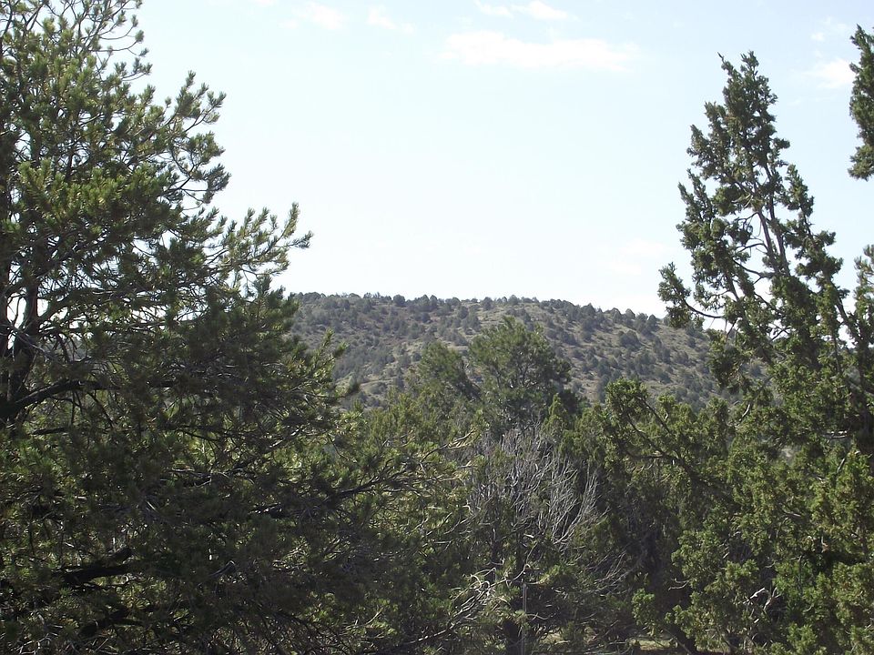 1303 E Antler Ln #546, Williams, AZ 86046 | MLS #197254 | Zillow