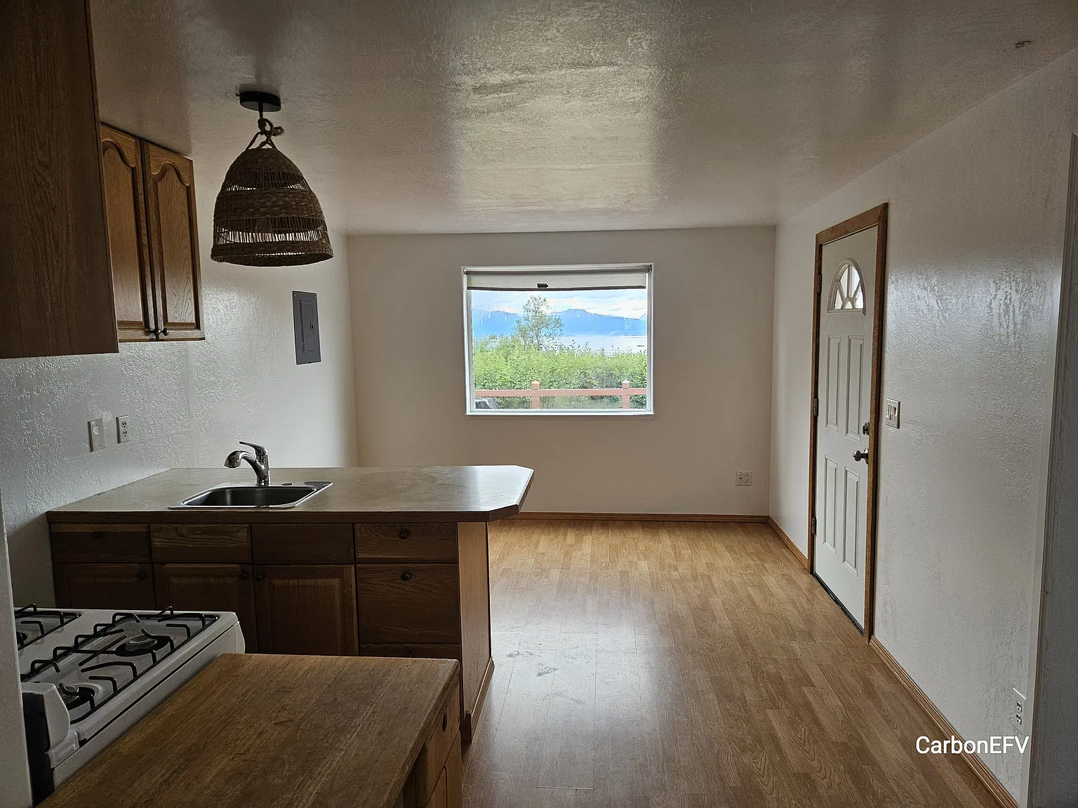 1 bed, 800 sqft, $1,650 — Photo 3