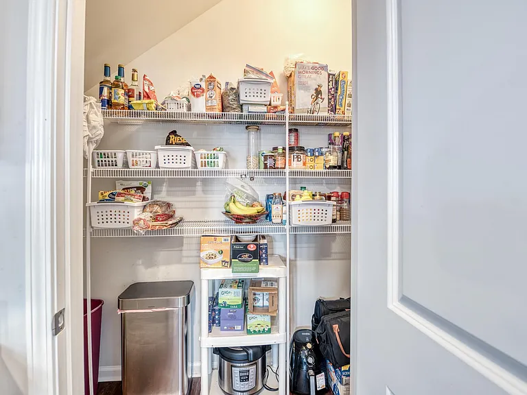 Largest kitchen pantry.