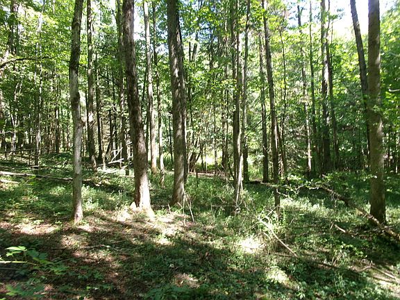 4th image of 478 Dunham Rd