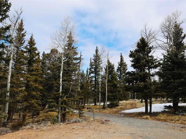 TBD Cochetopa Trail, Powderhorn, CO 81243