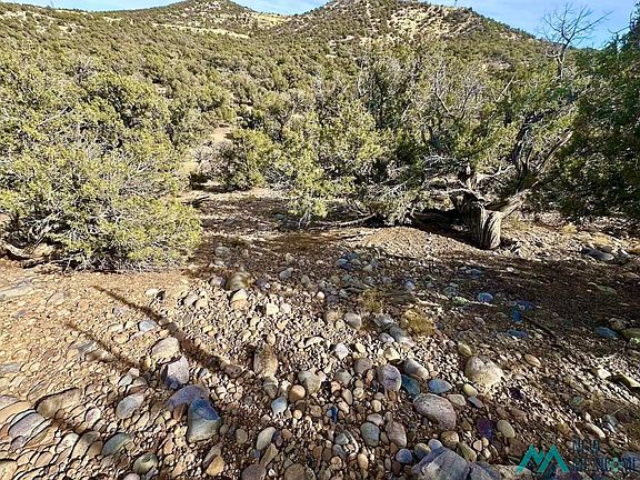 2nd image of County Road 2550
