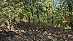 1st image of Shotliff Cir #12