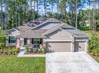 23630 Stream Ave, Sorrento, FL 32776