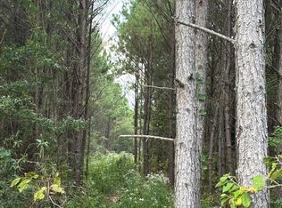 County Road 1582, Avinger, TX 75630