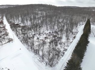 0 Deer Run Rd, Susquehanna, PA 18847