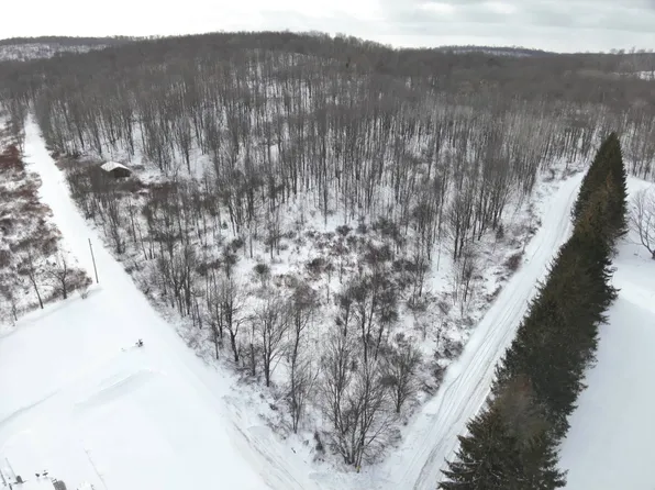 0 Deer Run Rd, Susquehanna, PA 18847