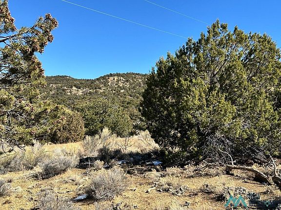2nd image of Latigo Loop