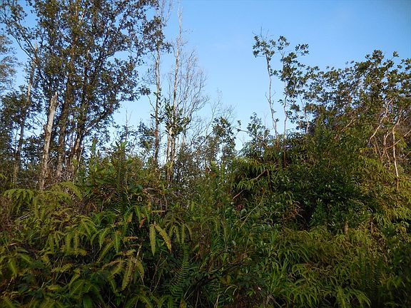 2nd image of Road 10 Poouli Lot 5803
