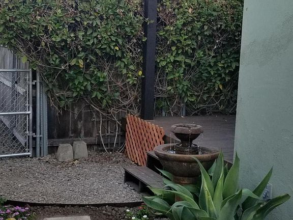 Side yard looking towards front