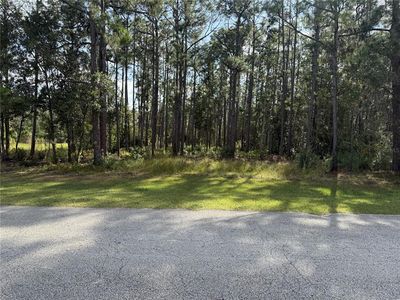 Limpkin Ln Lot 241, Frostproof, FL, 33843