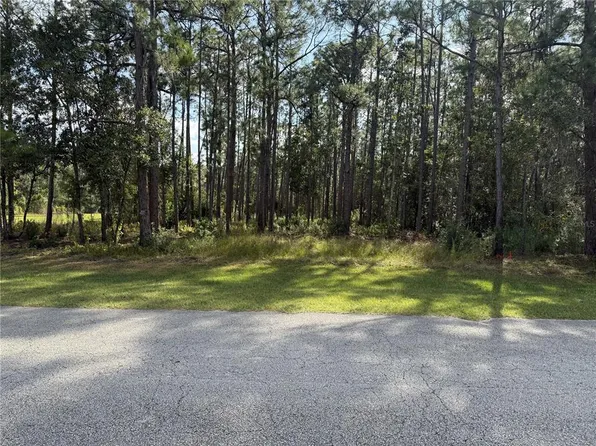Limpkin Ln Lot 241, Frostproof, FL 33843