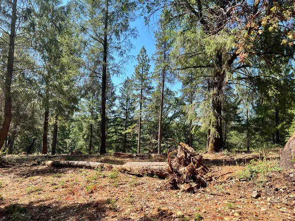 43 Bottle Hill Rd, Georgetown, CA 95634