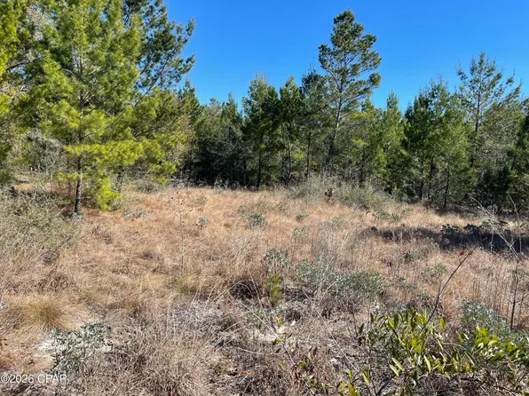 0 Velvet Dr, Chipley, FL 32428