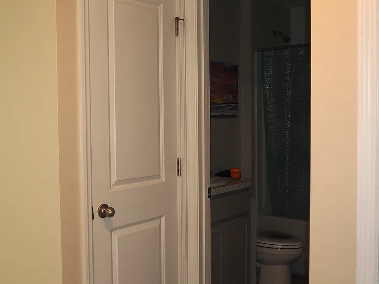Hall linen closet and tub/shower bath