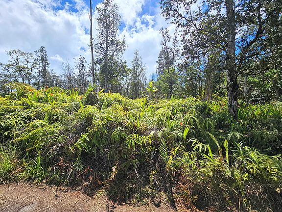 5th image of Road 9 Koloa Maoli Lot 5364