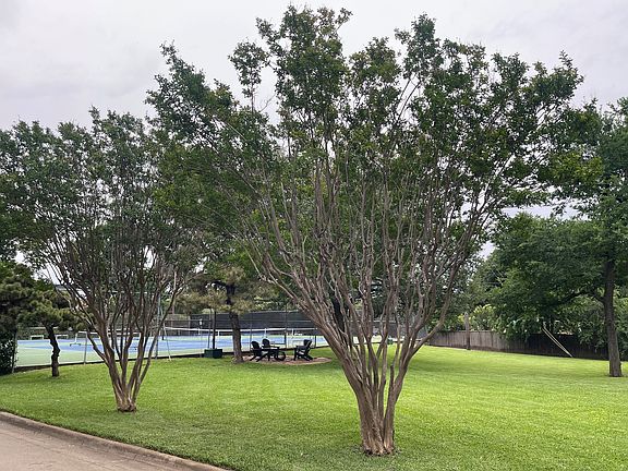 4th image of 6949 Helsem Way #131